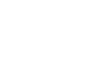 Tempo Express, mensajería y logística